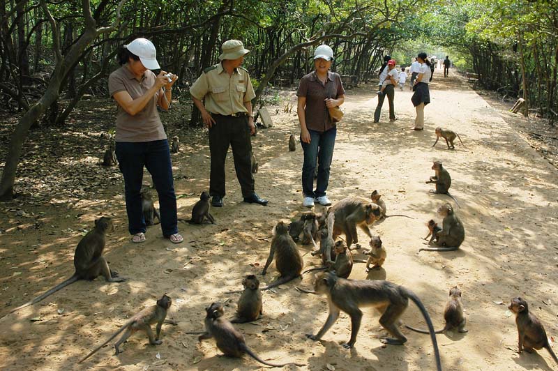 Остров обезьян неподалеку от Нячанга