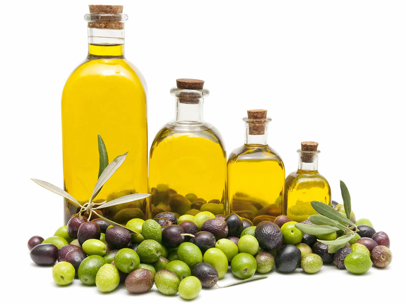 Оливки и масло из оливок