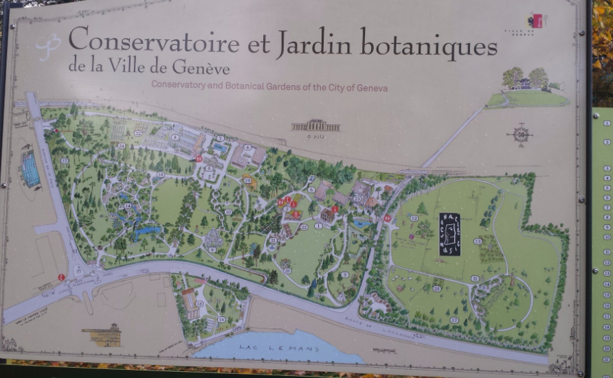 Карта ботанического сада Villa le Chene