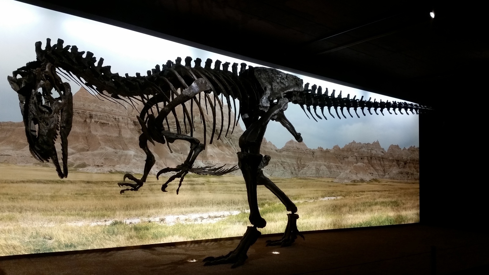 Скелет динозавра в музее Museum d’Histoire naturelle