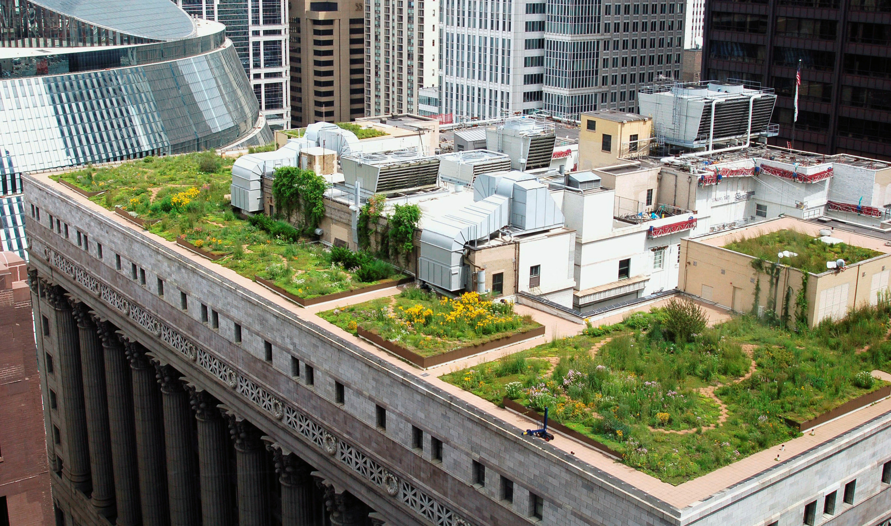 Сад на крыше здания в Чикаго