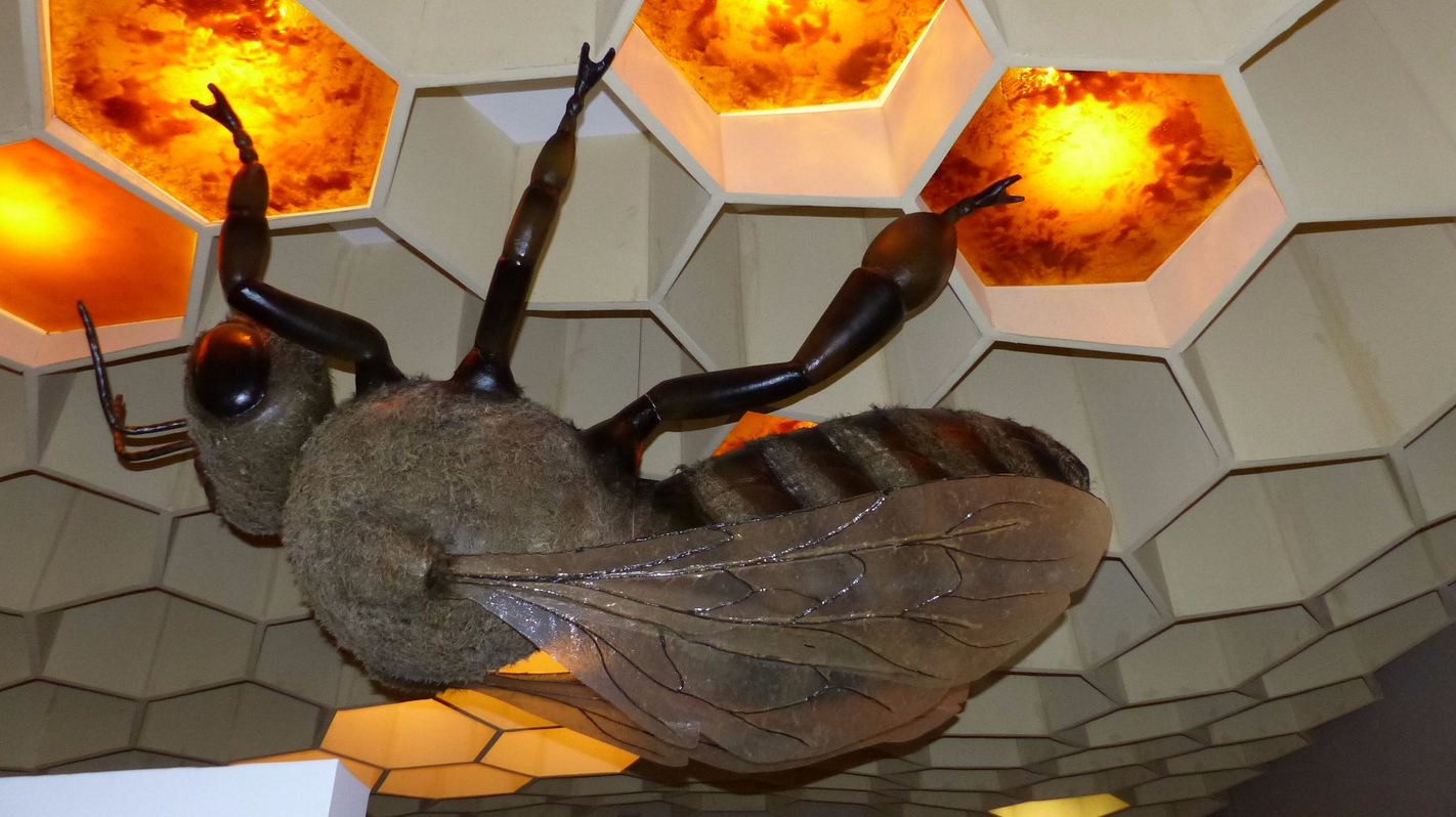 Большая пчела в музее пчеловодства, Пастиде