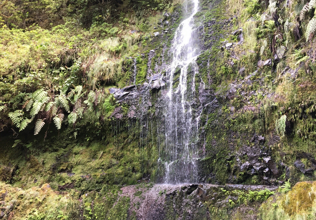 Водопад, Мадейра