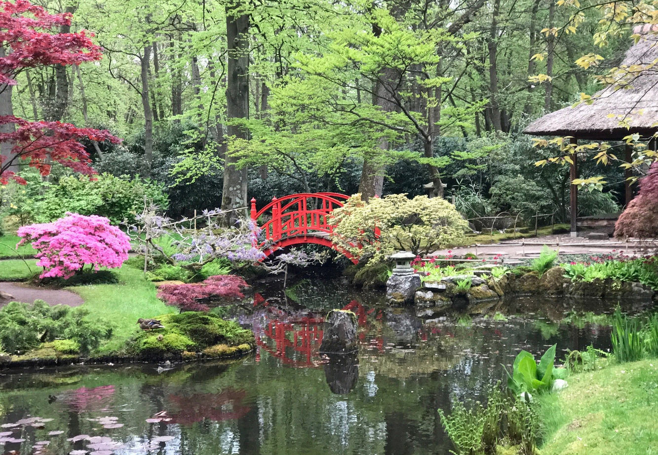 Прогулка японским садом