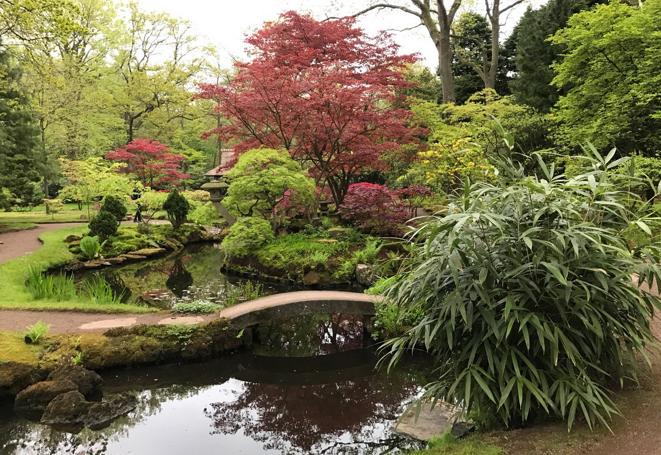 Японский сад, Гаага