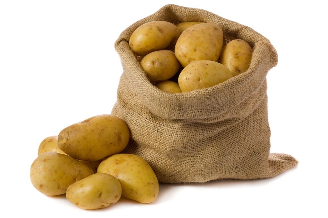 В 16 столетии в Ирландии начали выращивать картофель