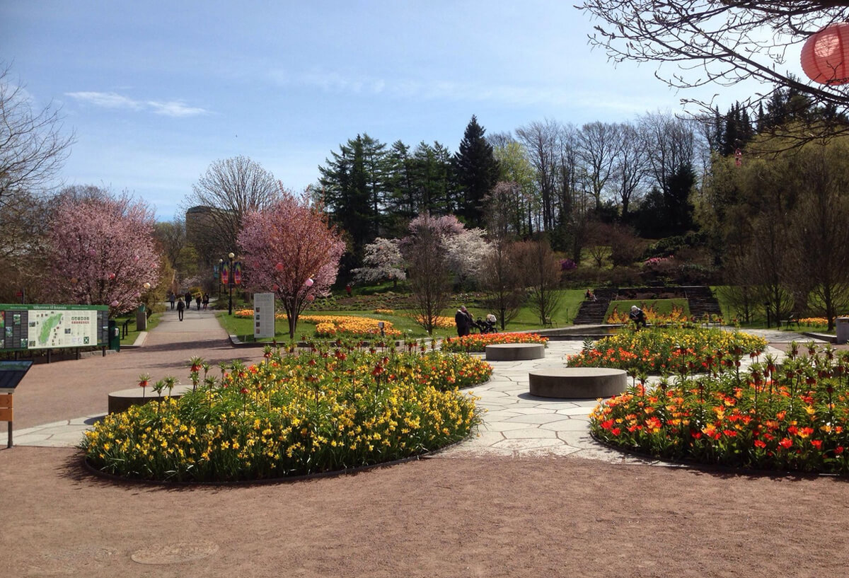 Ботанический сад Гётеборга