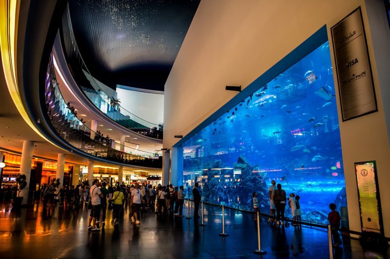 Аквариум в The Dubai Mall 