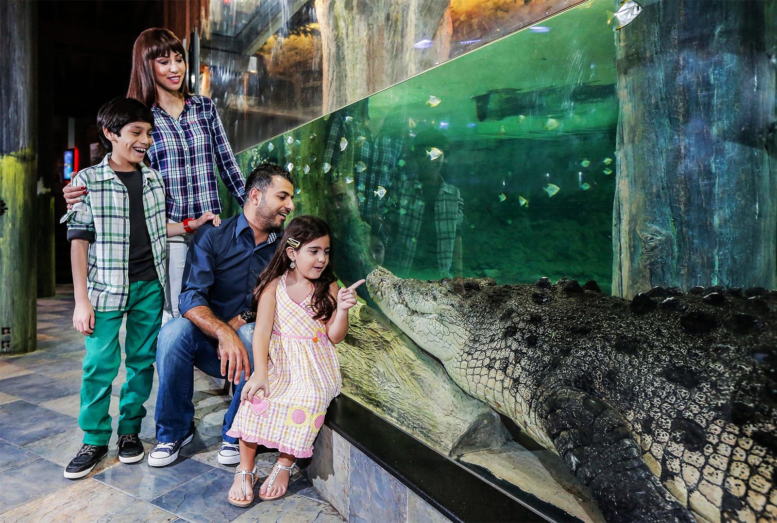 Крокодил гигантских размеров по имени King Croc