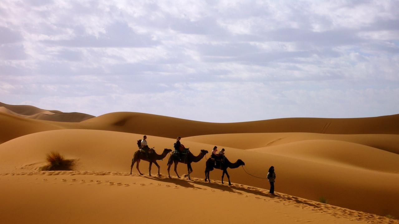 Пустынный регион ОАЭ