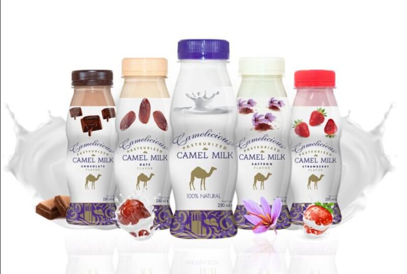 Верблюжье молоко в ОАЭ