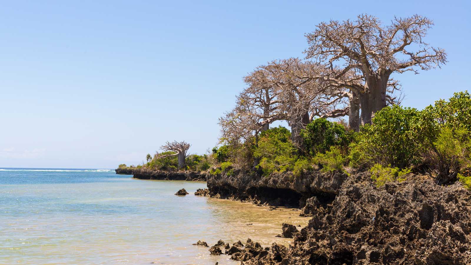 Пемба – остров Танзании с богатым рифом