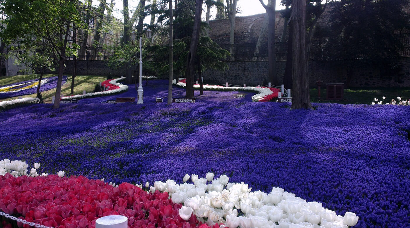 Цветочные ковры в парке Гюльхане