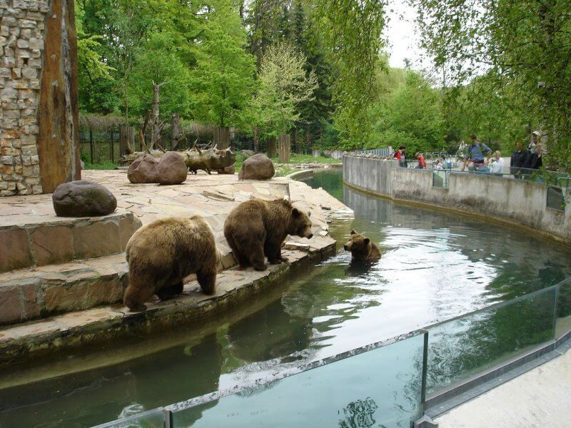 Аугсбургский зоопарк