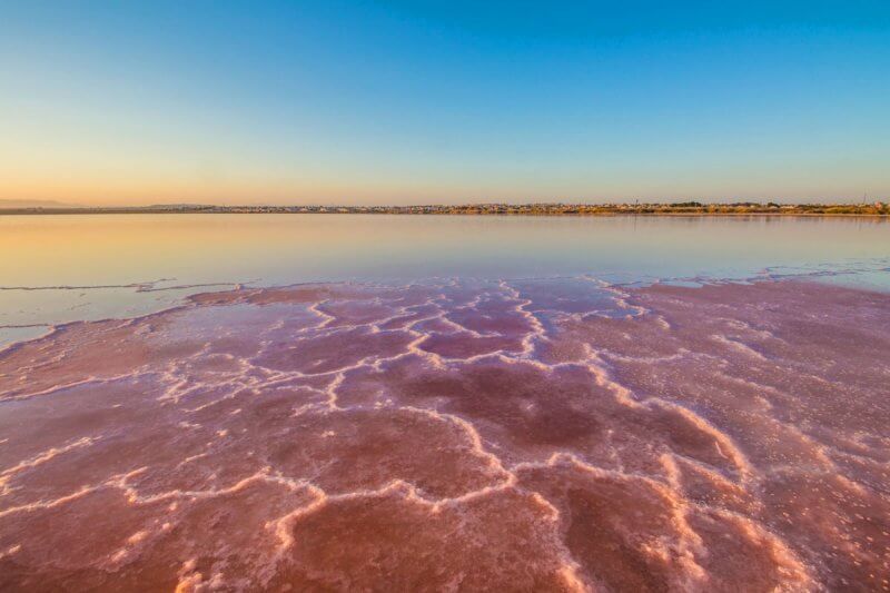 Розовое озеро Салинас