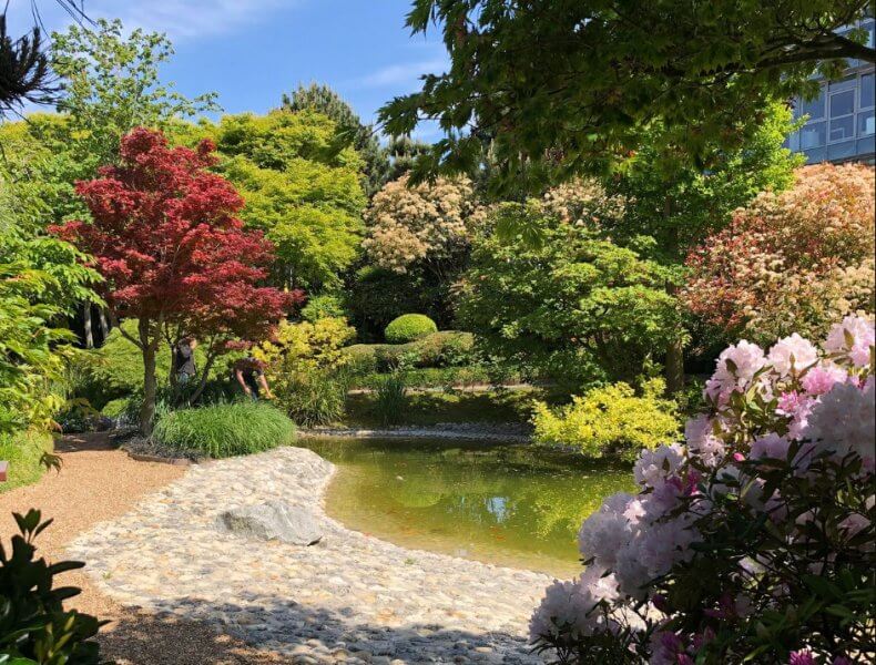 Фото: Японский сад в Гавре