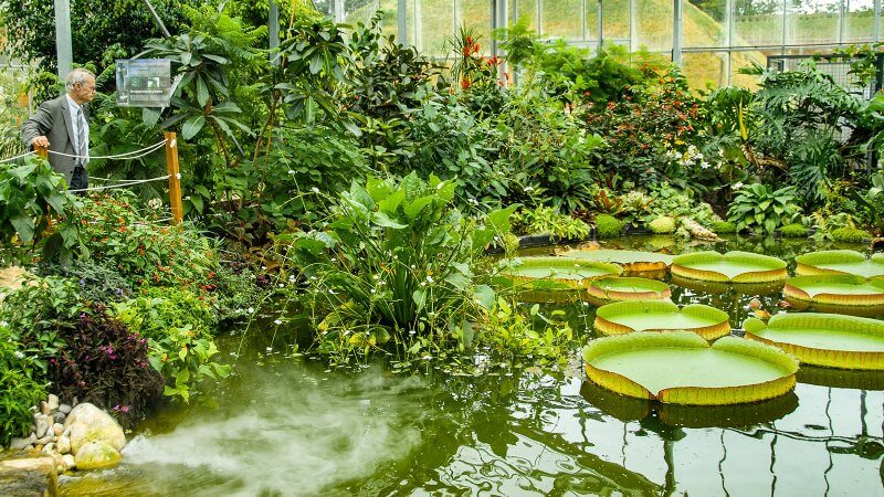 Фото: висячие сады в ботаническом саду Гавра