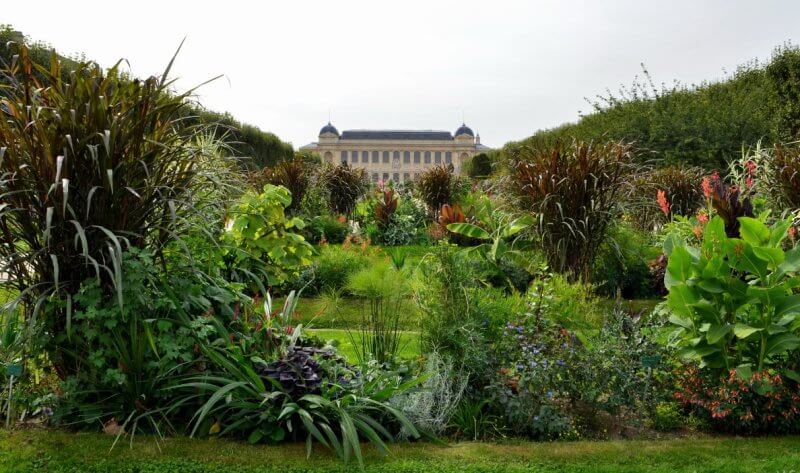 Ботанический сад Монпелье, Франция