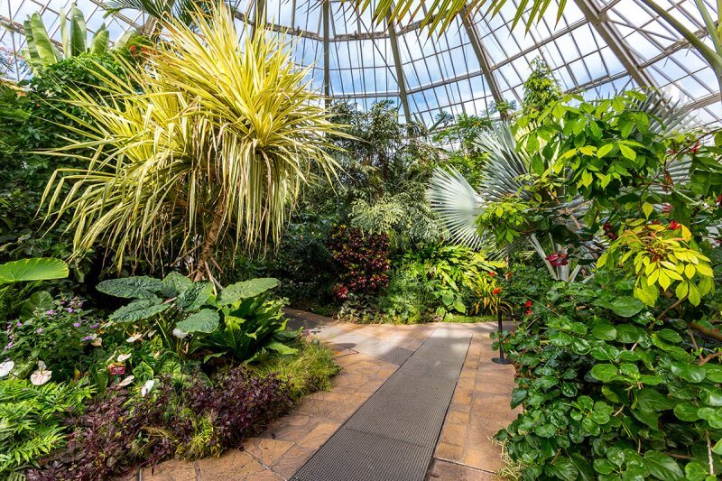 Экзотические растения в ботаническом саду Ниццы